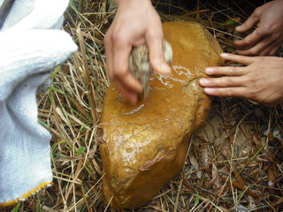 ���ɾ����µ���