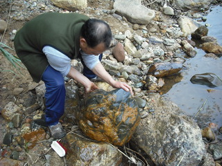 ����ľ��ͼ����