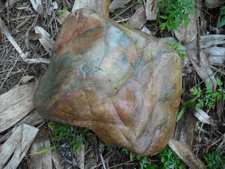 �Ӻ����ڵ������ʯ