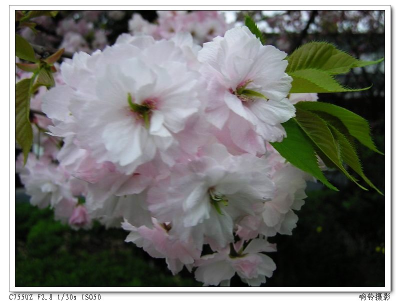 006�����ڹ�����ס�Ƶ��԰