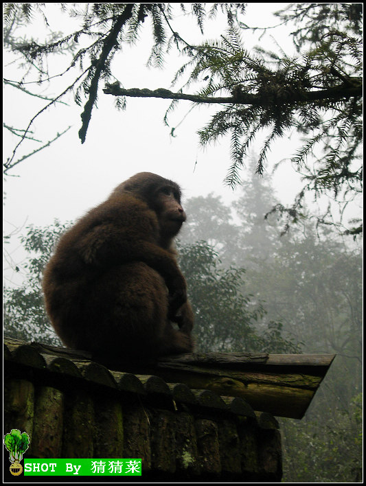 �ŷ���ˮ�ĺ���