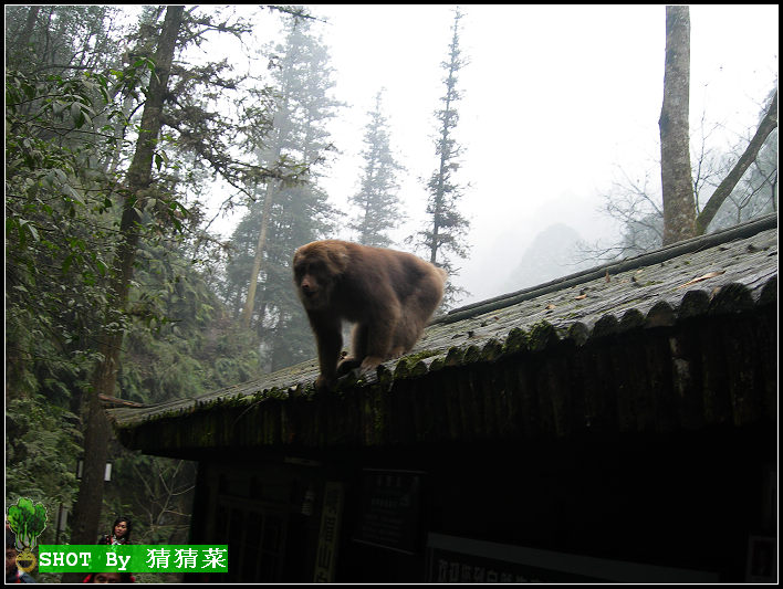 ·�԰��������Ƹߵ㣬һ�˵��˼�����Դ���������·�������֡�