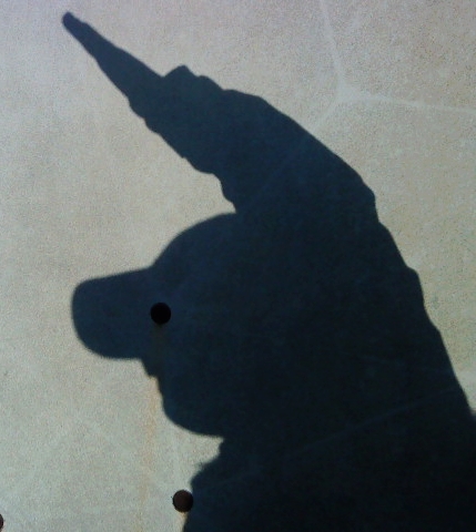 ��ӳ����Ǻ�