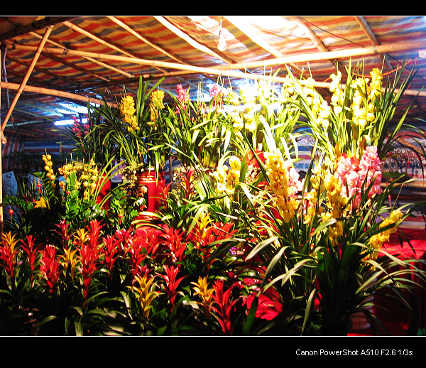 �ƹ��µ�ޥ��