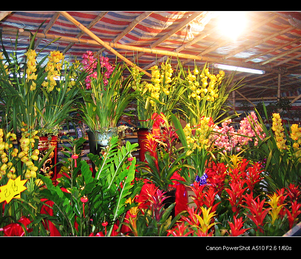 �ƹ��µ�ޥ��