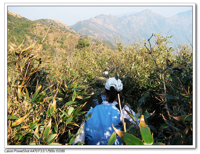 ���������³�