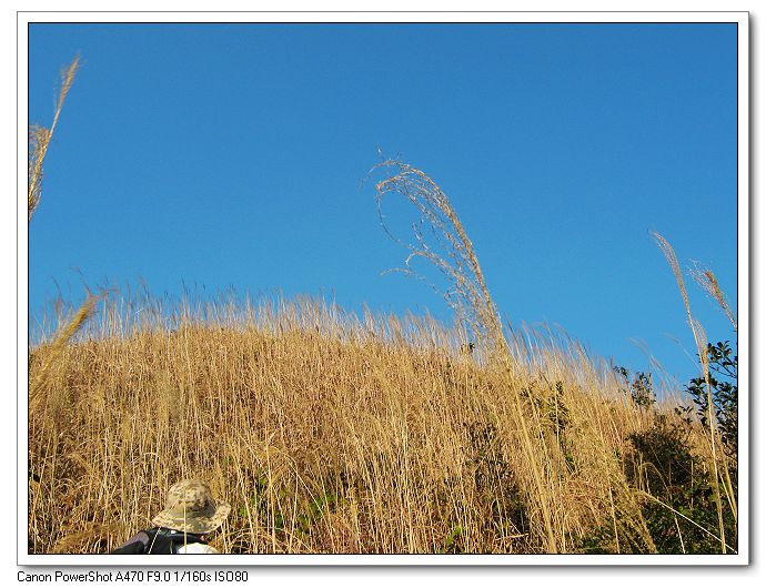 ��ɫ���������ǵ��뼸λ��ʦ����������������