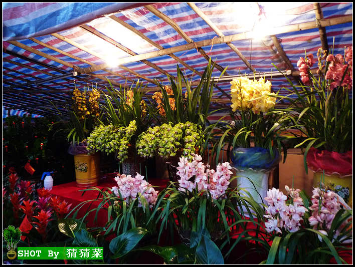 ���ʻ��������