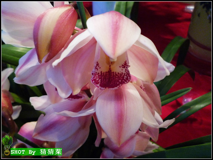 �谢�ʵ�������ǰף����´����֣����彡�����������⣡