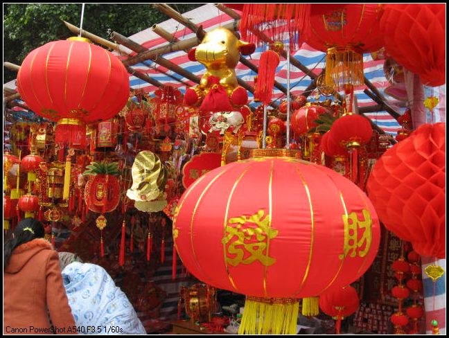 ��ϲ����