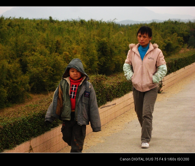 ���ߵ�ĸ��֮��