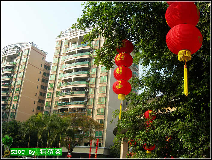 ������---С���ĵ���