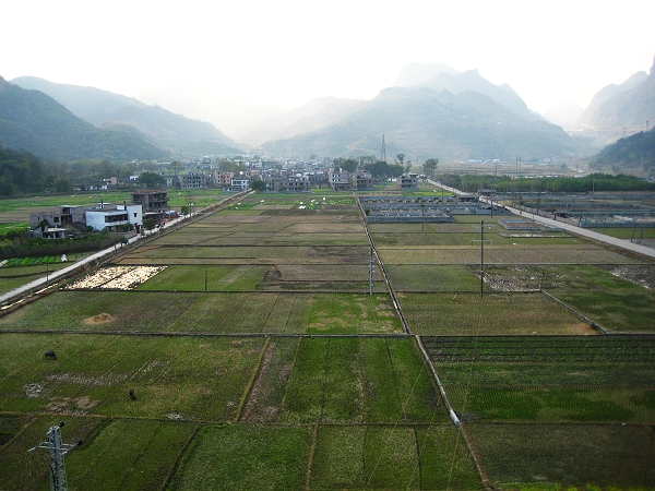 ��ɽ��Ұ��԰���