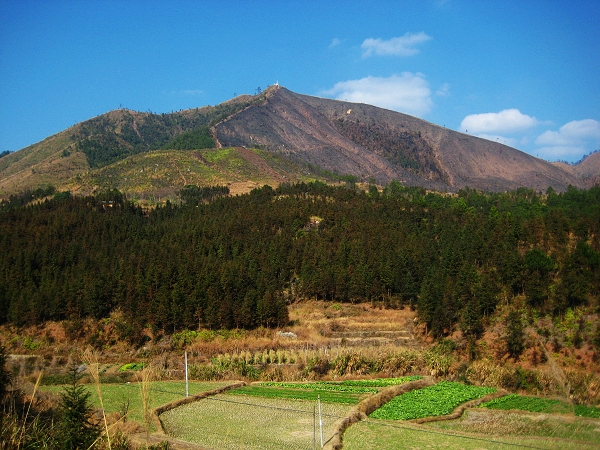 ·��ɽҰ���