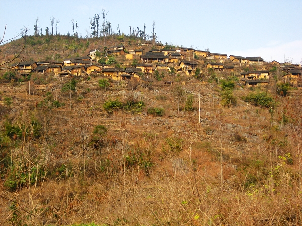 ɽ���ϵ�������կ