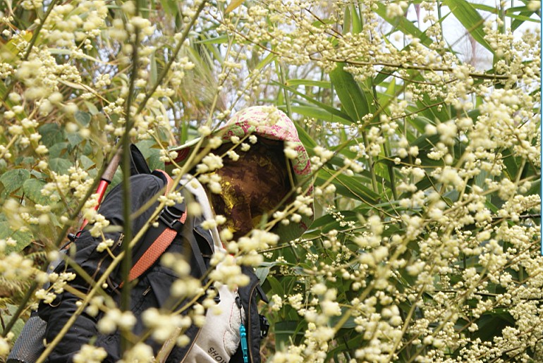 ������ר��ɫ