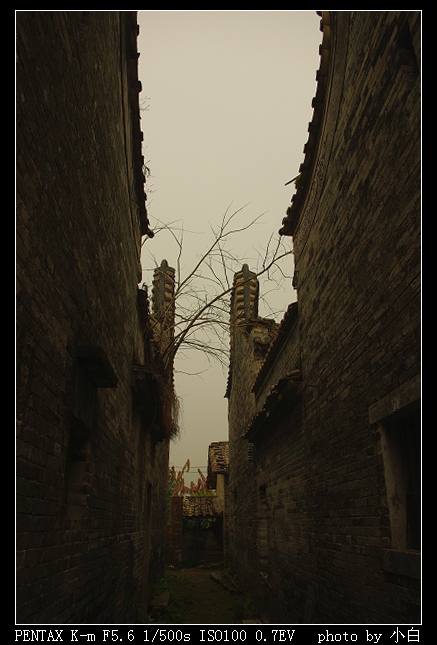 �䡣������