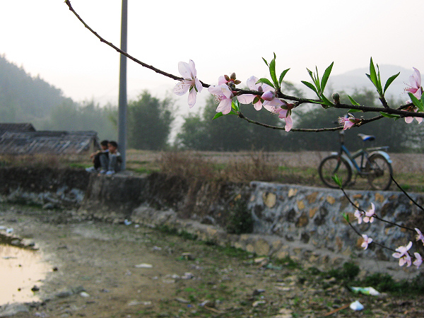 ż����λС���ѡ�