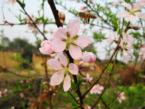 ż�����ڵġ�С�ۡ���