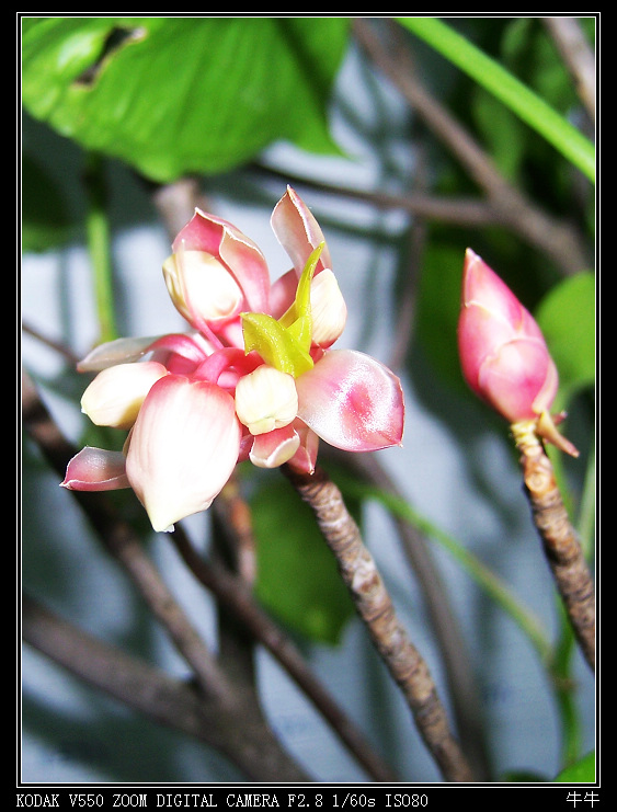 ���ӻ� 2.jpg