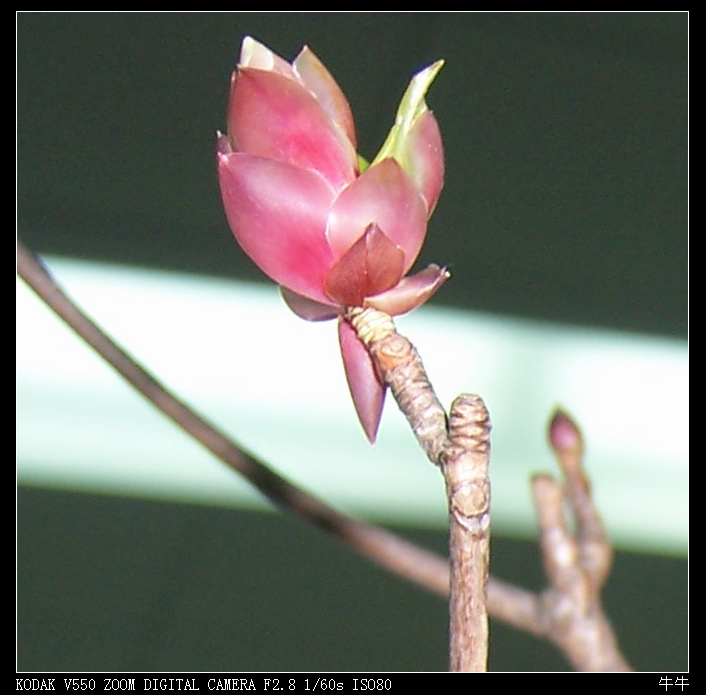 ���ӻ� 030.jpg