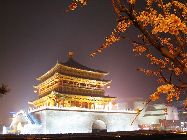 ��¥�����¥ң���ӳ����ν����ĺ����˶������б�Ժ�ţ�����֣���ʳ��