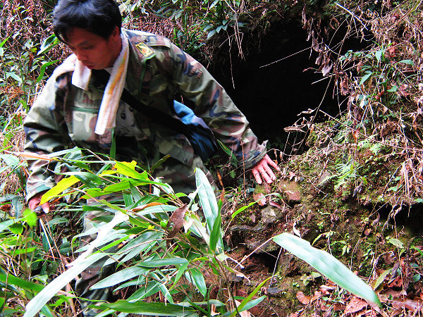 ���棺����Ұ��һ�ѡ�