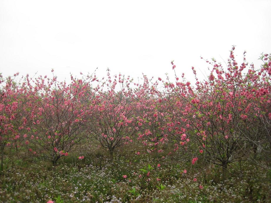 �һ�����Ц����