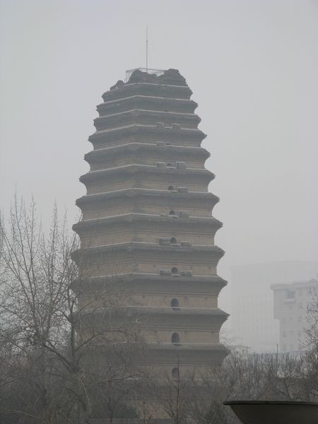 С��������������ԺҲ��С������