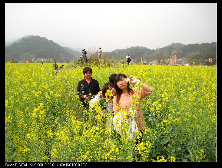 �����е�С�۷�