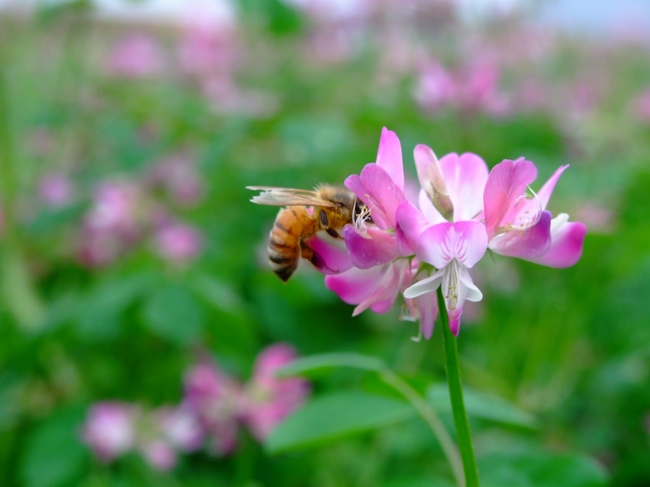 �������ջ�