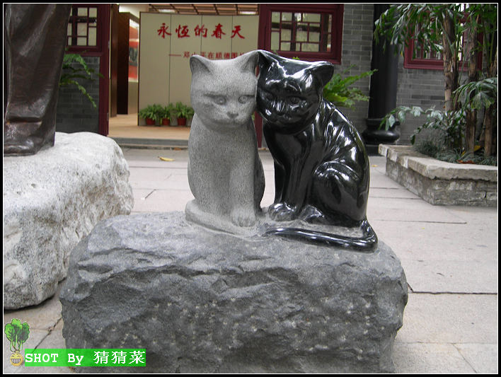 �ĸ￪����ʮ��չ��֮��Сƽ��˳��ͼƬչ��ǰ��-��è��è�����Ҿ�������ֻ����