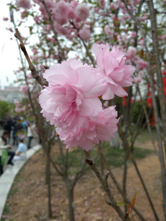 ��Ƭ 081_��С��С.jpg