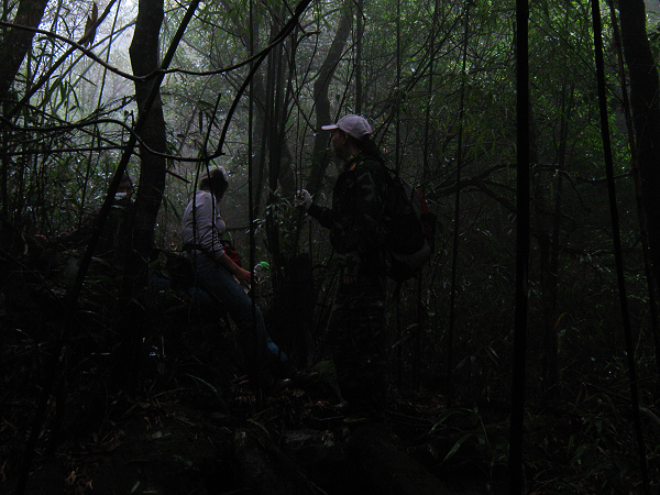 ţţ�������