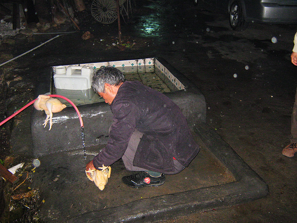 ׼������