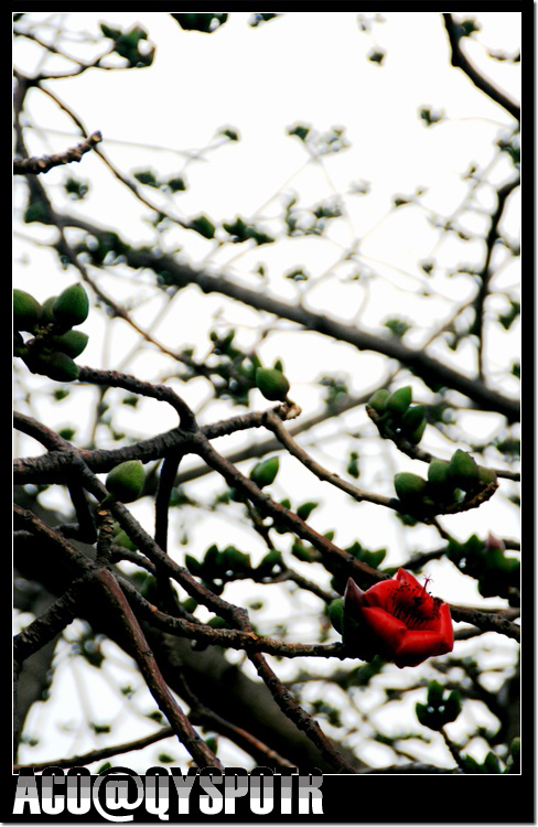 IMG_8938_Frame ����.jpg