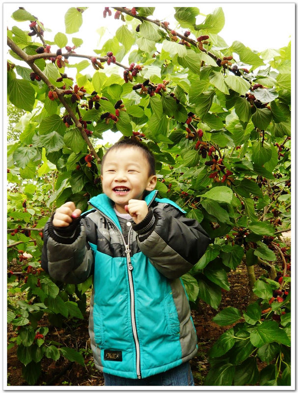 ������ң��СBOBO��