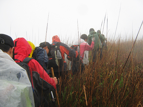 ���ϰҳ���