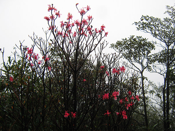 �ּ����ӻ�