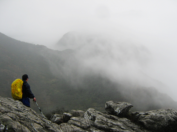 ����ɽ��