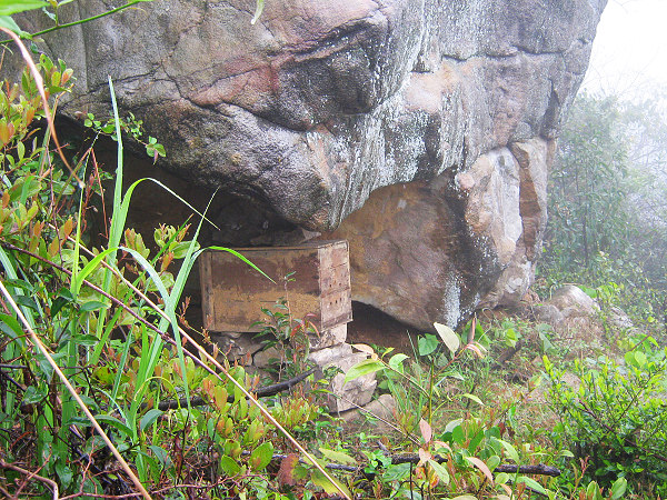 ·�߷�����Ұ��