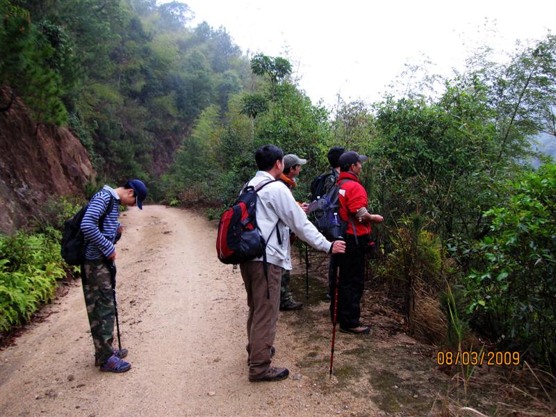 IMG_5433 (��).jpg