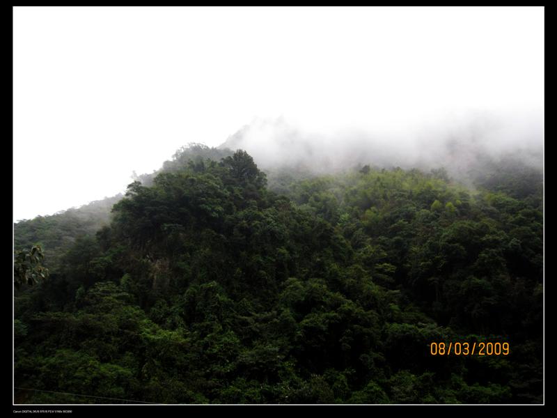 IMG_5436 (��).jpg