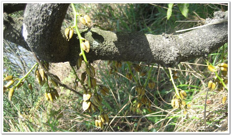 �Ǻ�,��Ȼ���ҷ����˺�ȸ��!