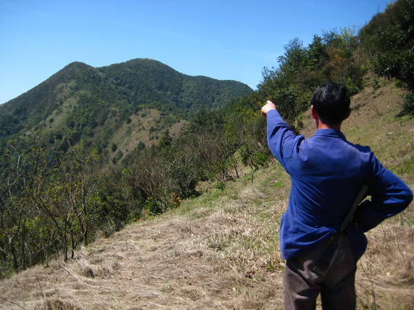 ����˵���Ǿ���ͨ�����������