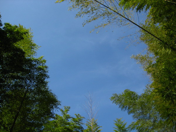 ���õĵ�ɽ����