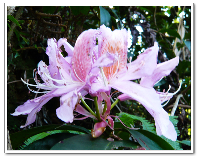 �������ã�