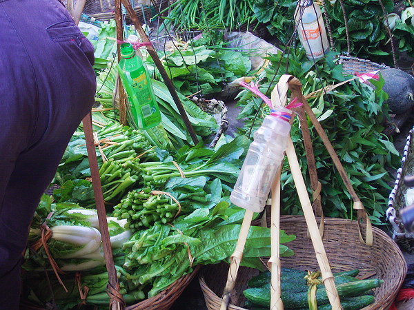 �����Ծ�������ƿ��Ͷ��һԪǮ