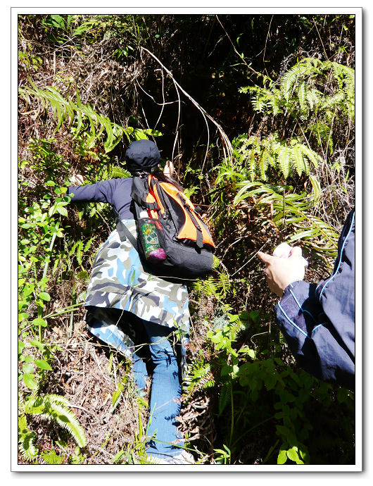 ���ǡ�ɽһ��ķ�ɣ�