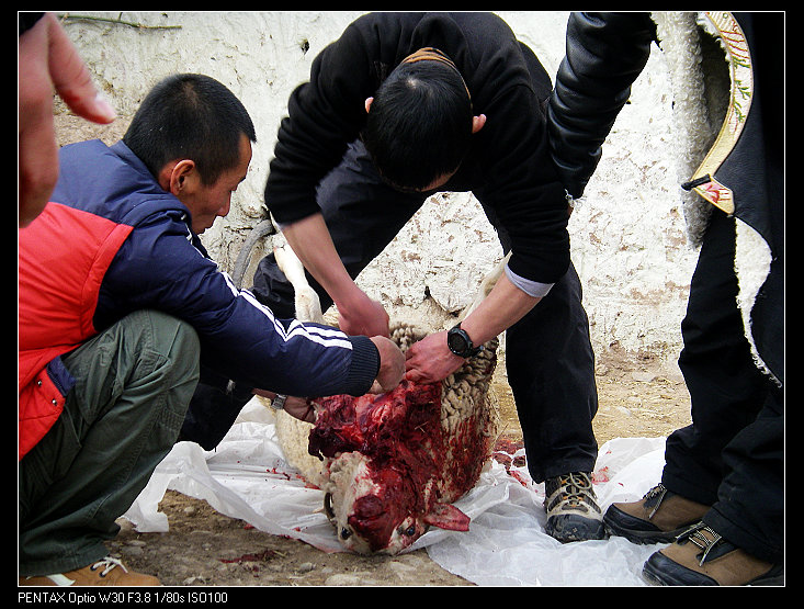 �������ز���ҹ���������֮����Ƥ